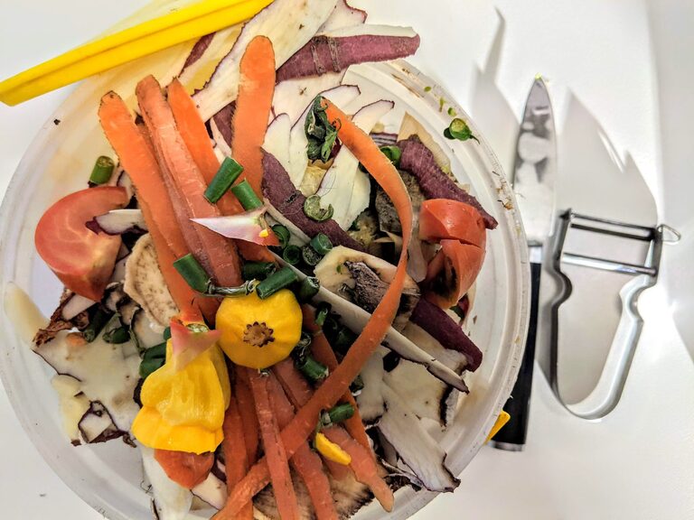 Easy and Effective Ways to Reduce Food Waste at Home